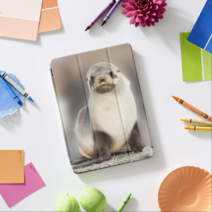 Portrait of Seal Pup on the Beach iPad Pro Cover