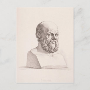 Portrait of Socrates Postcard