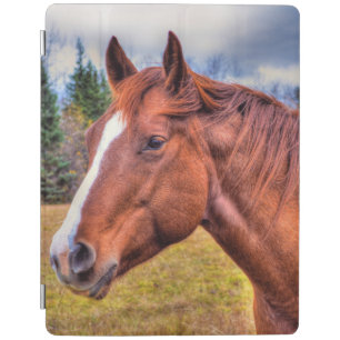 Portrait of Sorrel Mare Equine Horse Photo iPad Smart Cover