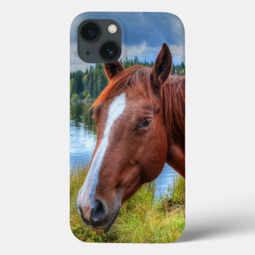 Portrait of Sorrel Mare  Scenic Lake Equine Photo iPhone 13 Case