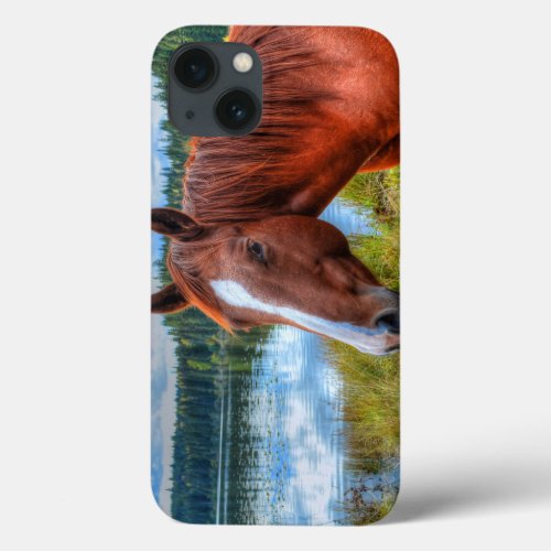 Portrait of Sorrel Mare  Scenic Lake Equine Photo iPhone 13 Case