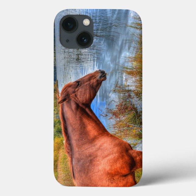 Portrait of Sorrel Mare & Scenic Lake Equine Photo Case-Mate iPhone Case (Back)