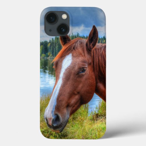 Portrait of Sorrel Mare  Scenic Lake Equine Photo iPhone 13 Case