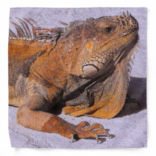 Portrait of the Iguana Bandana (Front)