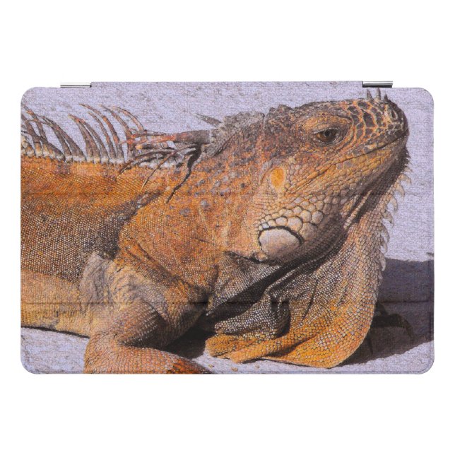 Portrait of the Iguana iPad Smart Cover (Horizontal)