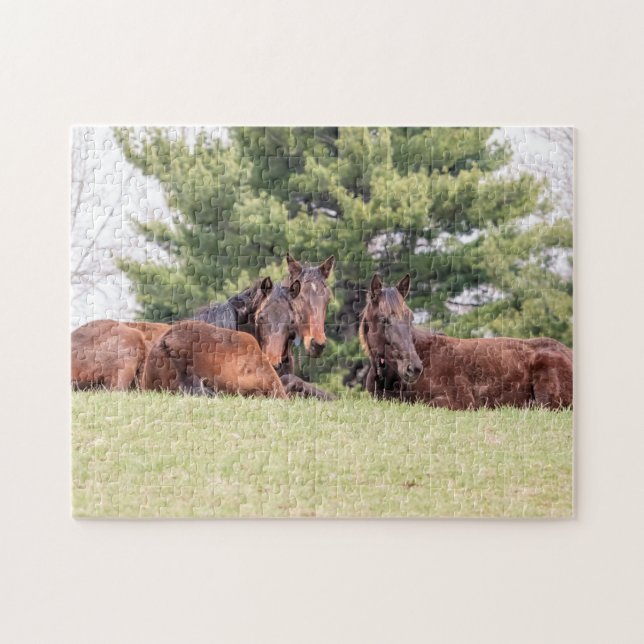 Portrait of three horses jigsaw puzzle (Horizontal)