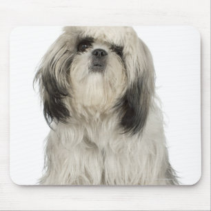 Portrait of Tibetan Terrier puppy Mouse Pad