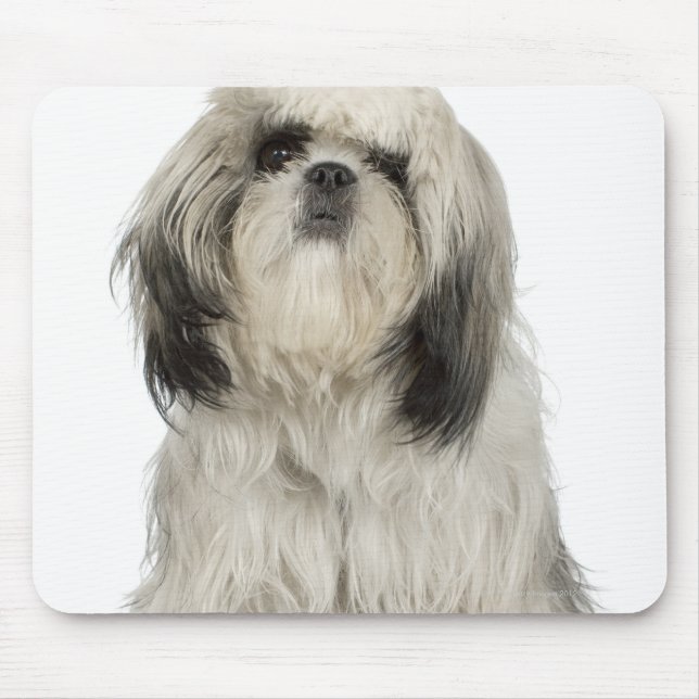 Portrait of Tibetan Terrier puppy Mouse Pad (Front)