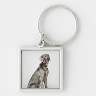 Portrait of Weimaraner dog Keychain