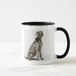 Portrait of Weimaraner dog Mug