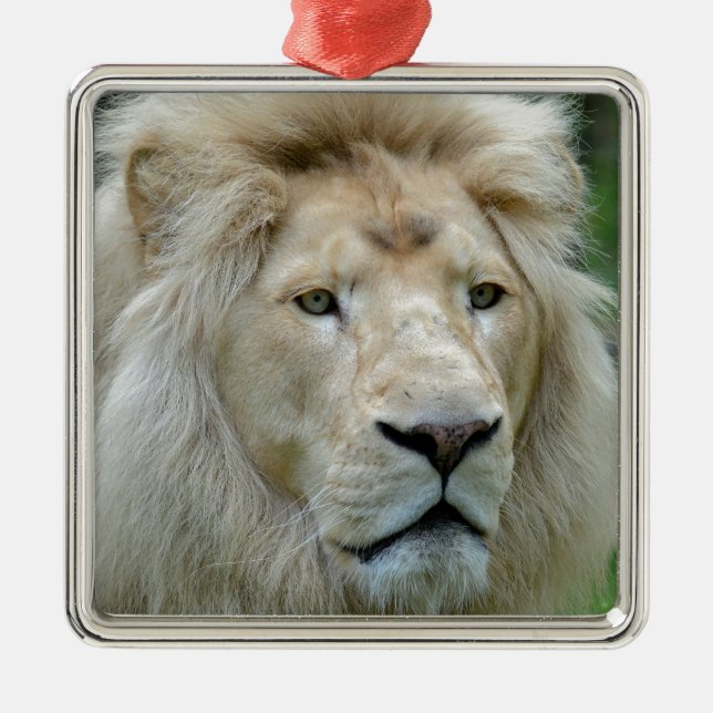 Portrait of white lion metal ornament (Front)