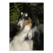 Portrait of Zulu (Front)