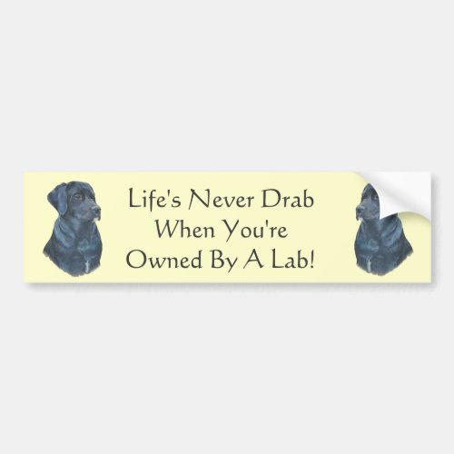 portrait painting of black labrador dog bumper sticker