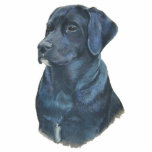 portrait painting of black labrador dog cutout<br><div class="desc">This little black Labrador retriever dog has a great expression on her face, just like a true labrador she looks alert and ready to go, she also looks like she’s asking for the attention all labby’s crave for. I think this dog portrait art looks great on this original sculpture pin/badge...</div>