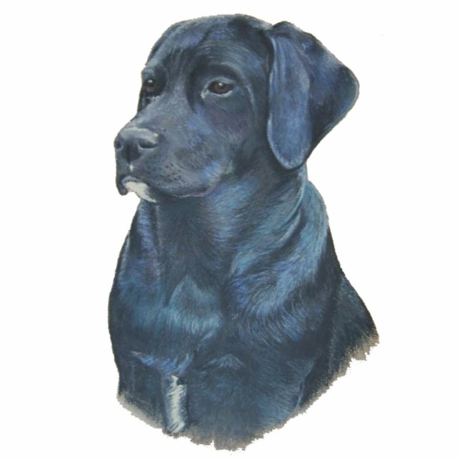 portrait painting of black labrador dog cutout (Front)