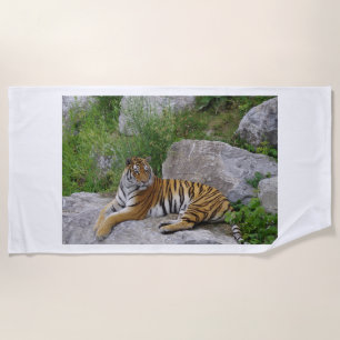 Portrait photo of a Siberian tiger Beach Towel
