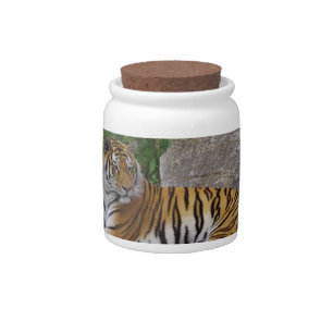 Portrait photo of a Siberian tiger Candy Jar