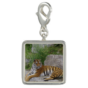 Portrait photo of a Siberian tiger Charm