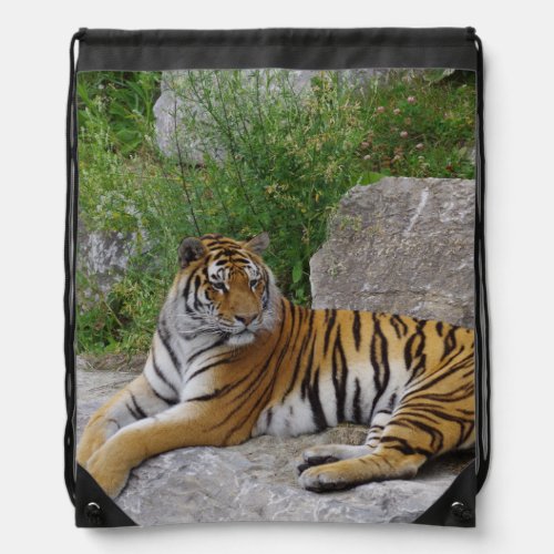 Portrait photo of a Siberian tiger Drawstring Bag