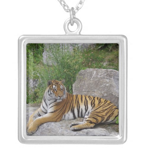 Portrait photo of a Siberian tiger Silver Plated Necklace