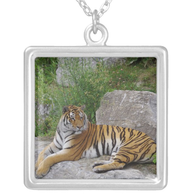 Portrait photo of a Siberian tiger Silver Plated Necklace (Front)