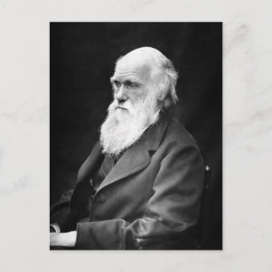 Portrait Photo of Charles Darwin Postcard