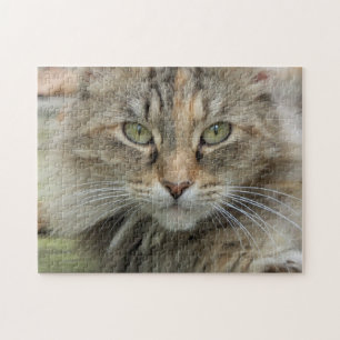 Portrait Photo Tabby Cat Jigsaw Puzzle
