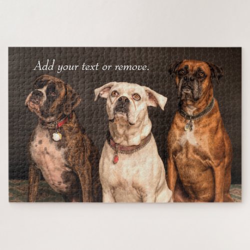 Portrait photograph of 3 cute boxer dogs jigsaw puzzle