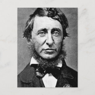 Portrait Photograph of Henry David Thoreau Postcard