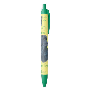 portrait picture of black labrador dog pen