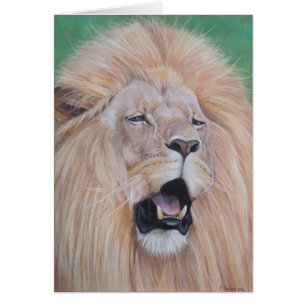 portrait picture of roaring Lion big cat wildlife Cards