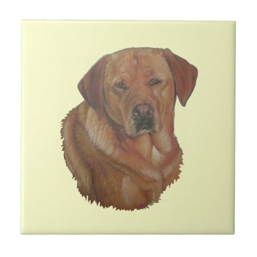 portrait picture rare red labrador retreiver dog tile