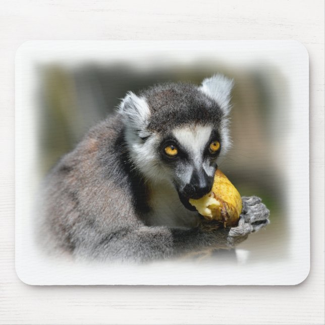 Portrait ring-tailed lemur eating a banana mouse pad (Front)