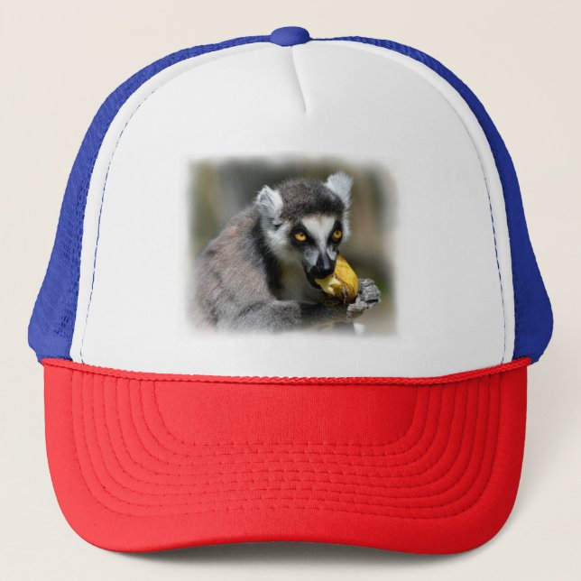 Portrait ring-tailed lemur eating a banana trucker hat (Front)
