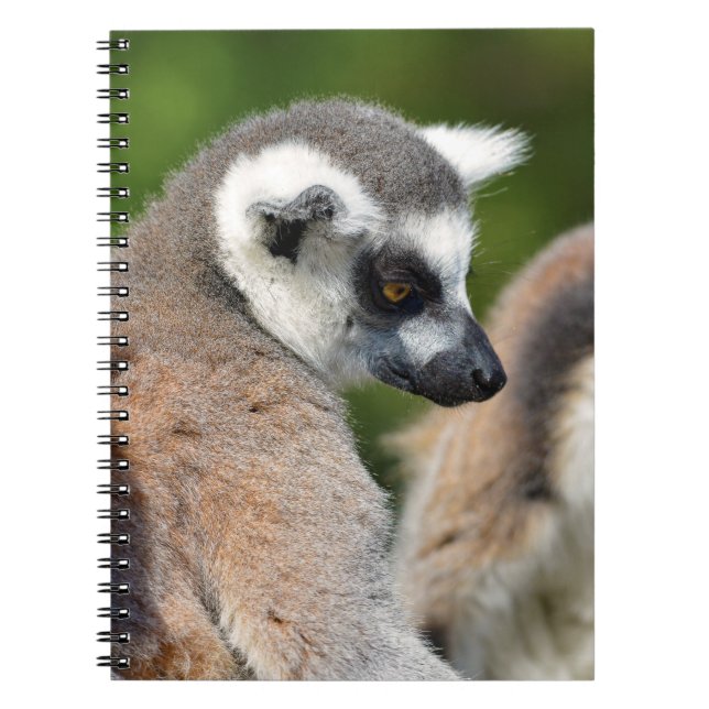 Portrait ring-tailed lemurs notebook (Front)