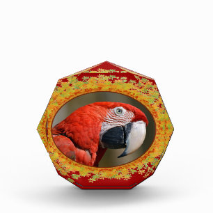 Portrait Scarlet macaw in fram of leaves Acrylic Award