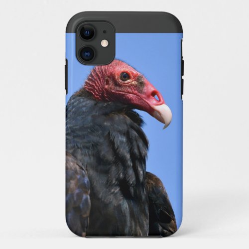 Portrait Turkey vulture iPhone 11 Case