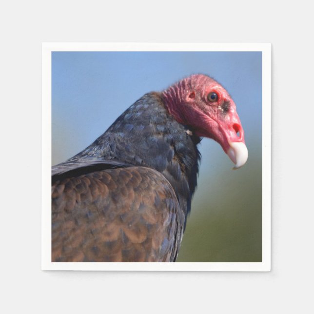 Portrait Turkey vulture Napkins (Front)