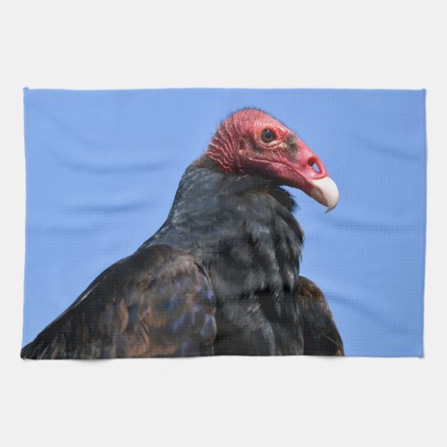 Portrait Turkey vulture Towel