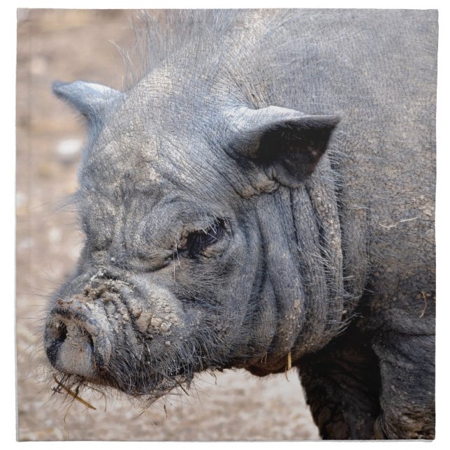 Portrait Vietnamese potbellied pig Napkin (Front)