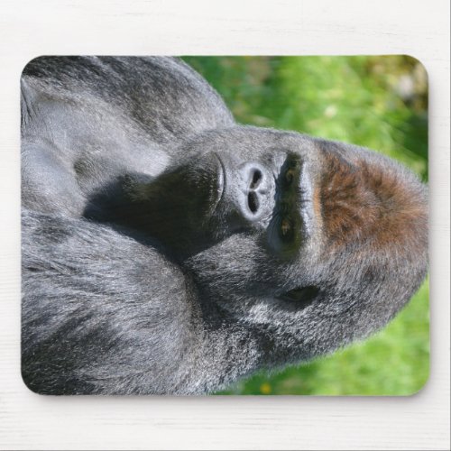 Portrait western lowland gorilla mouse pad