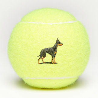 Portraits of a head Doberman dog front view Tennis Balls