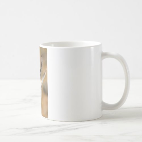 Portrt eines Sprinkbocks Coffee Mug