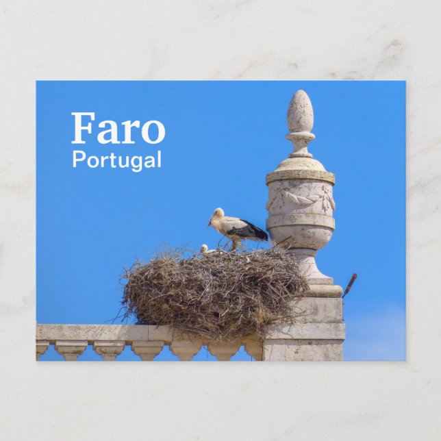 Portugal Faro in the Algarve Postcard (Front)