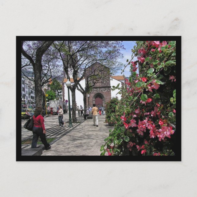 (Portugal) Funchal, Madeira Postcard (Front)