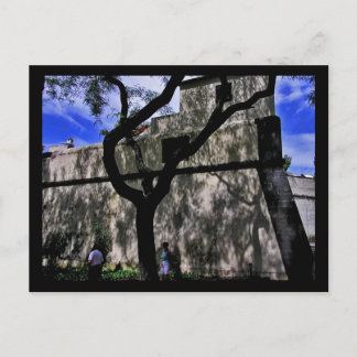 (Portugal) Funchal, Madeira Postcard