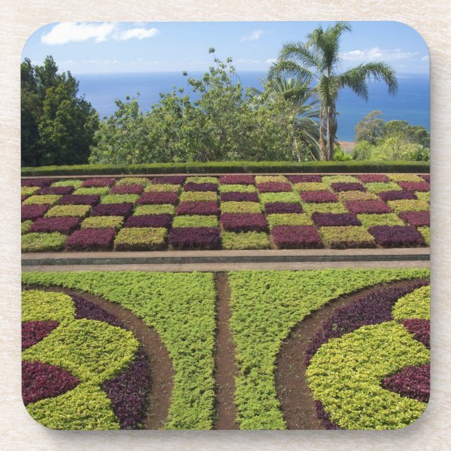 Portugal, Madeira Island, Funchal. Botanical Beverage Coaster (Front)
