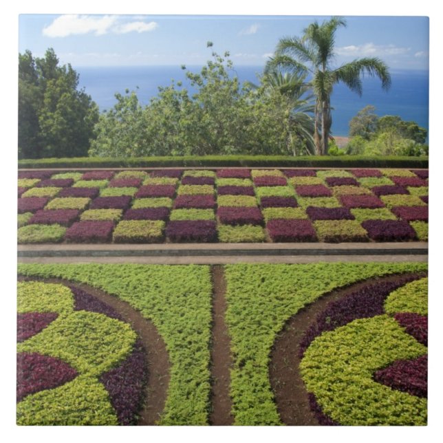 Portugal, Madeira Island, Funchal. Botanical Ceramic Tile (Front)