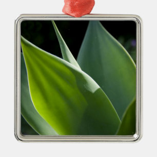 Portugal, Madeira Island, Funchal. Botanical Metal Ornament