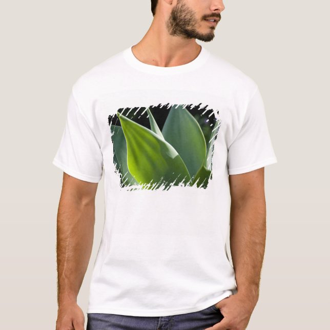 Portugal, Madeira Island, Funchal. Botanical T-Shirt (Front)
